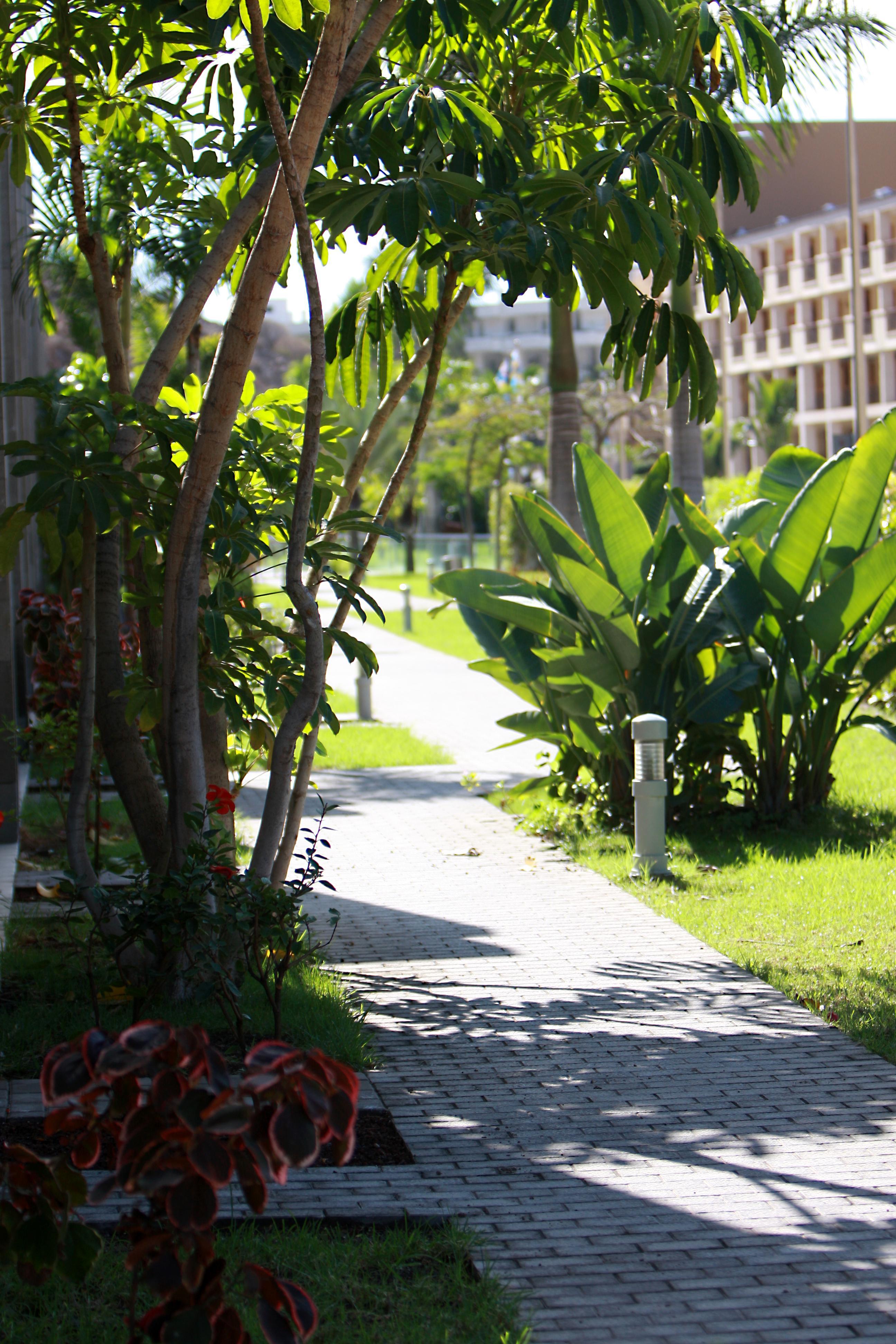 Hotel Livvo Costa Taurito & Aquapark (Adults Only) Εξωτερικό φωτογραφία